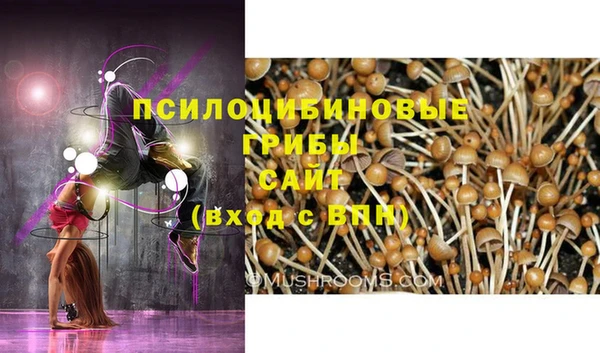 герыч Балахна