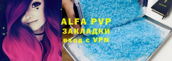 прущие грибы Белокуриха