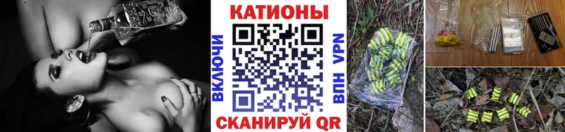 МЯУ-МЯУ мяу мяу  Курильск 