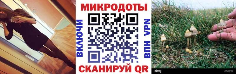 Псилоцибиновые грибы мицелий  гидра маркетплейс  Курильск 