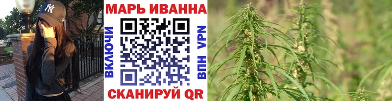 Конопля сатива  Курильск 